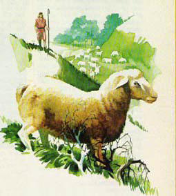Shepher with sheep, by Ken Tunell